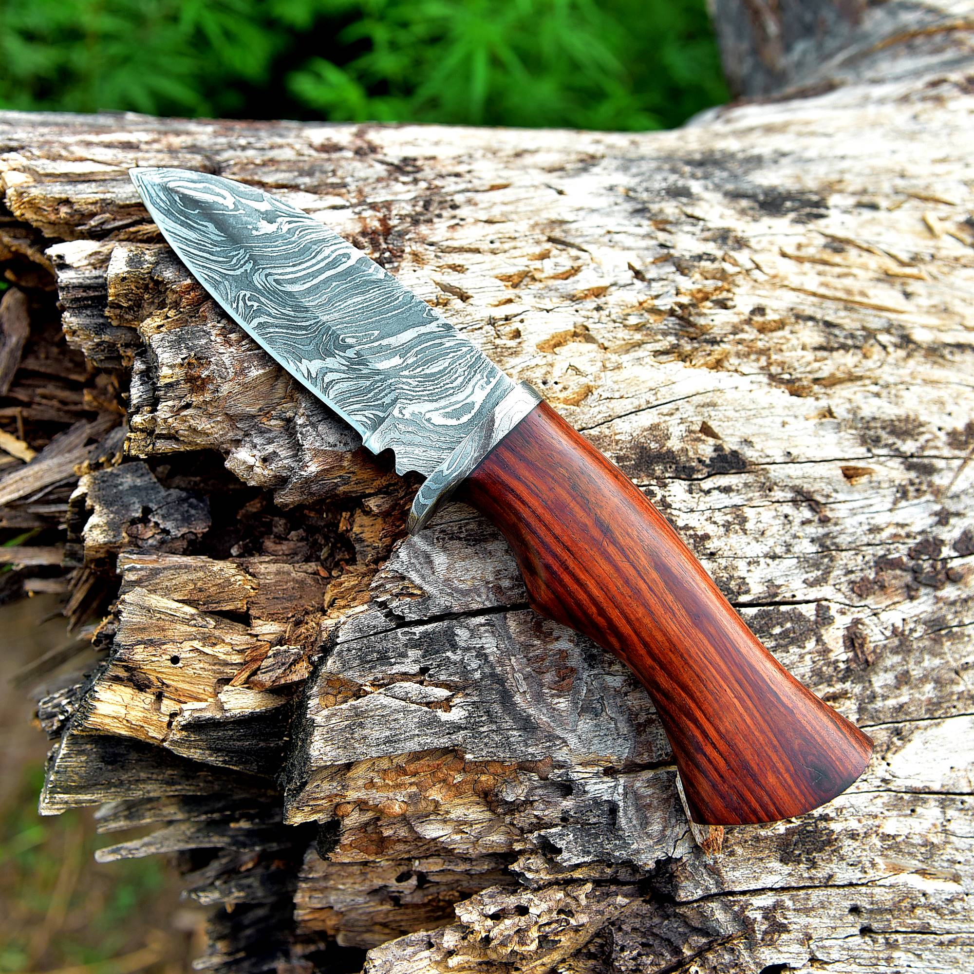 Wild Grain Damascus Fixed Blade Knife – High-Contrast Pattern Damascus Steel with Hardwood Handle {FREE GIFT}