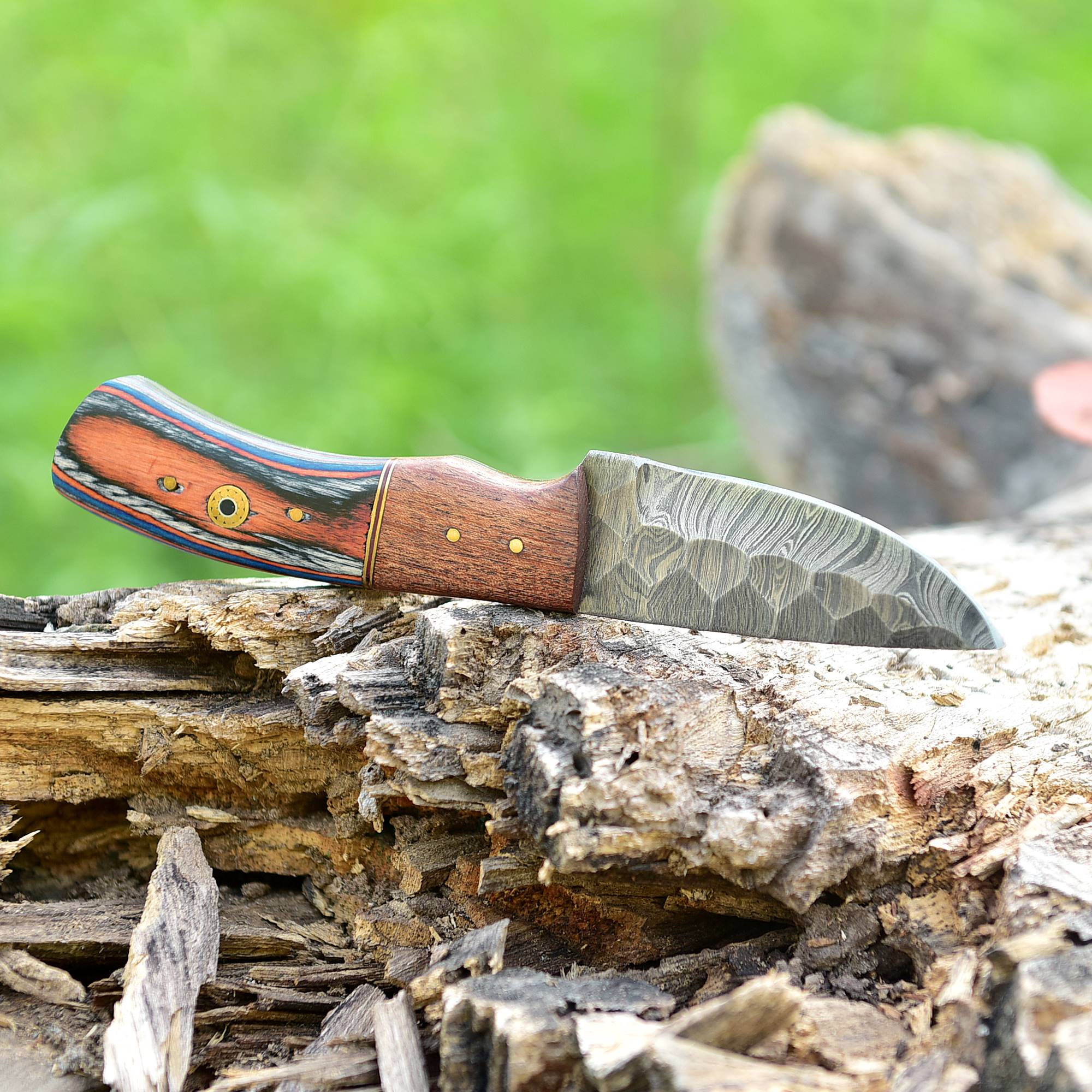 Blaze Stripe Damascus Fixed Blade Knife – Patterned Damascus Steel with Multi-Tone Handle {FREE GIFT}