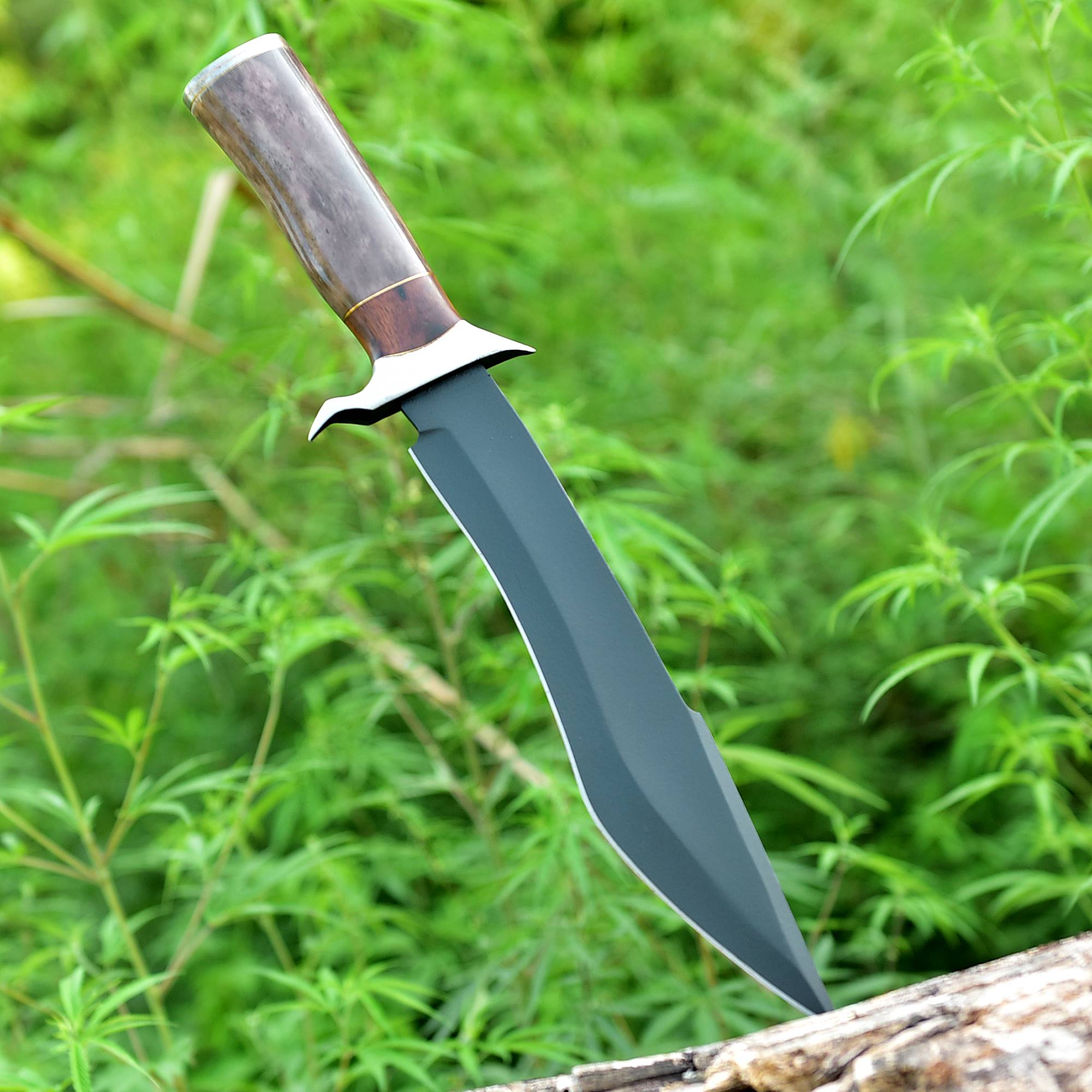 Timber Shadow Bowie Knife – Matte Black Fixed Blade with Wood & Horn Handle {FREE GIFT}
