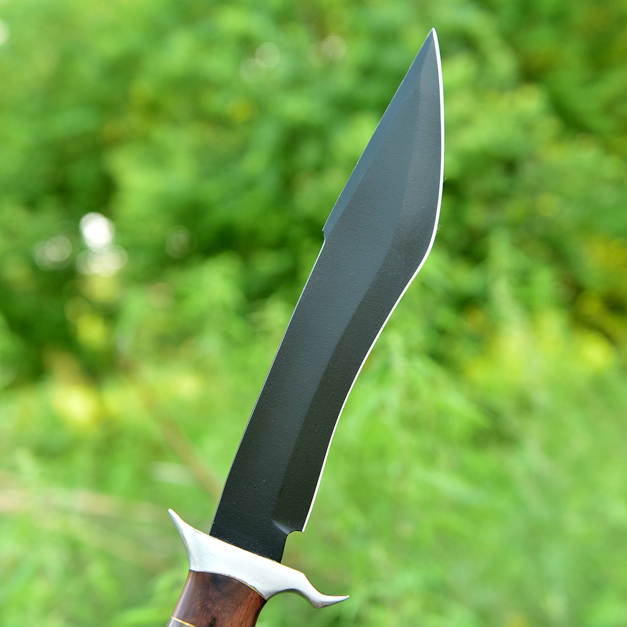 Timber Shadow Bowie Knife – Matte Black Fixed Blade with Wood & Horn Handle {FREE GIFT}