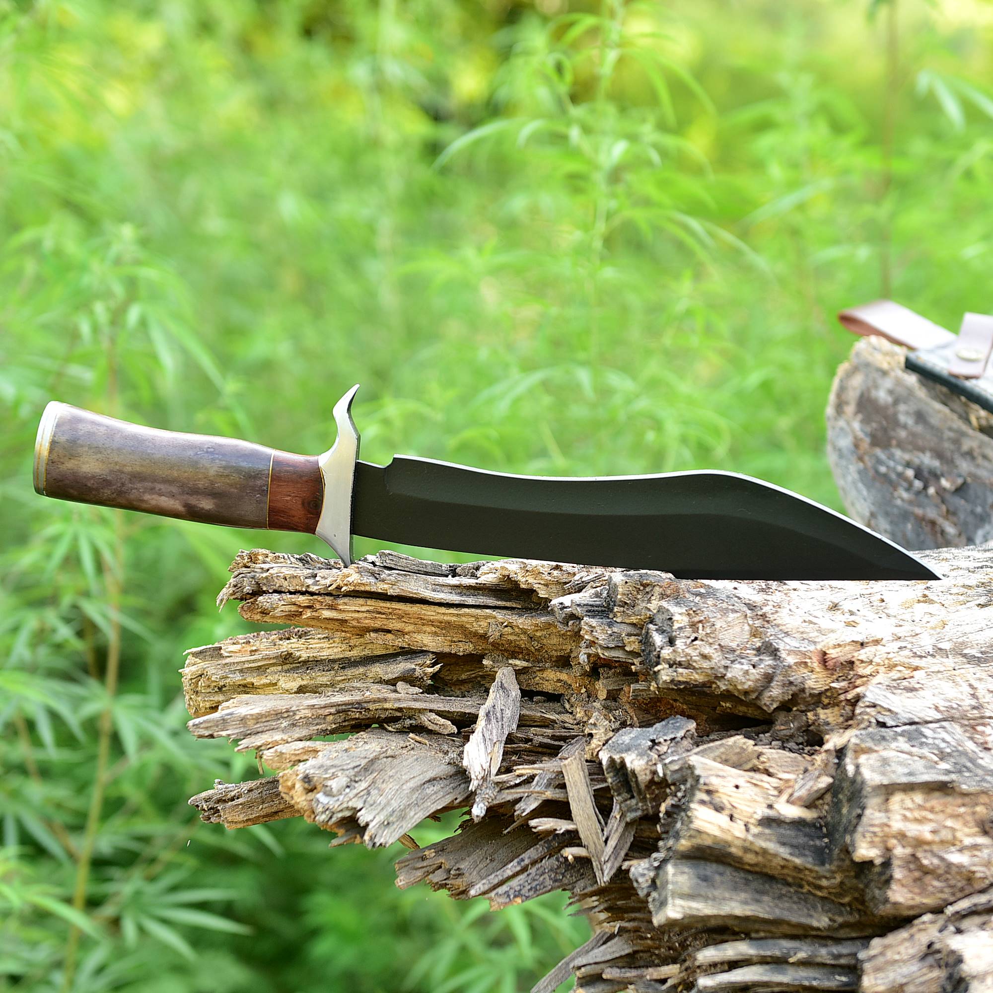 Timber Shadow Bowie Knife – Matte Black Fixed Blade with Wood & Horn Handle {FREE GIFT}
