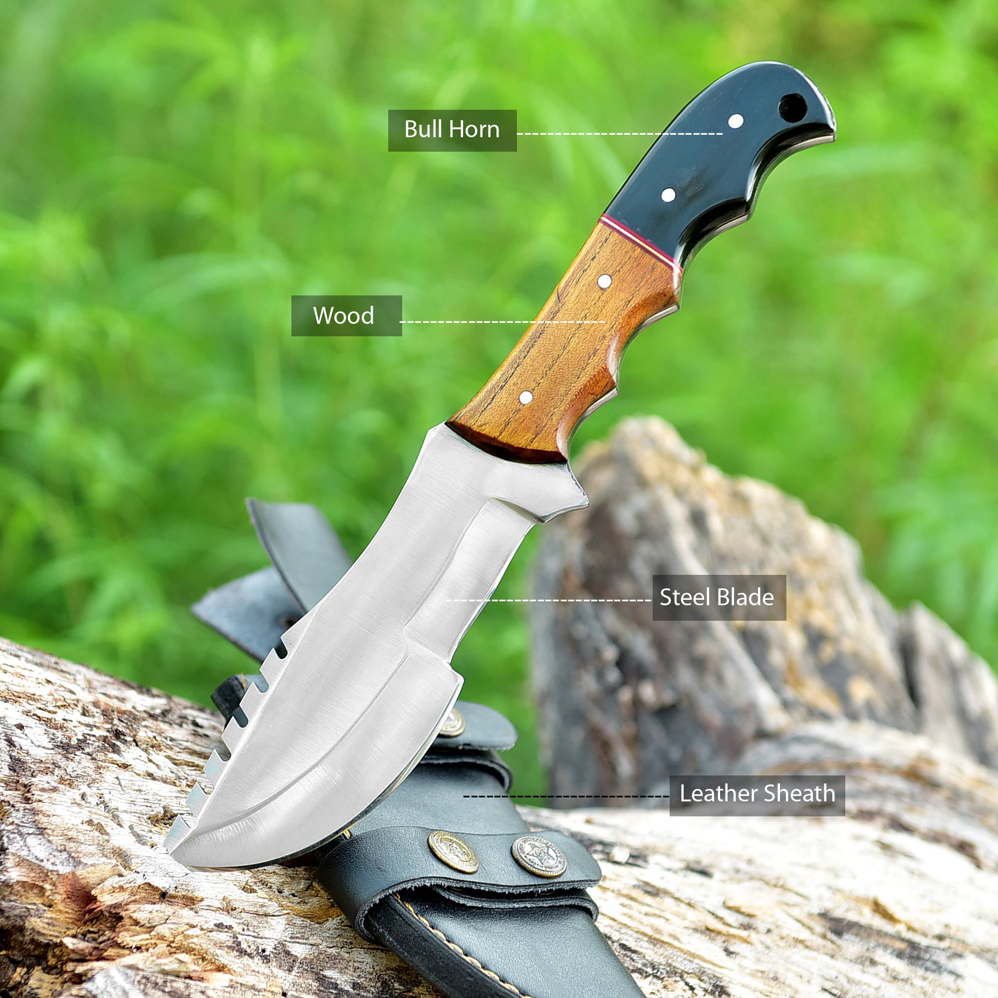 Frontier Fang Hunter Fixed Blade Knife – Broad Steel Blade with Bull Horn & Wood Handle {FREE GIFT}