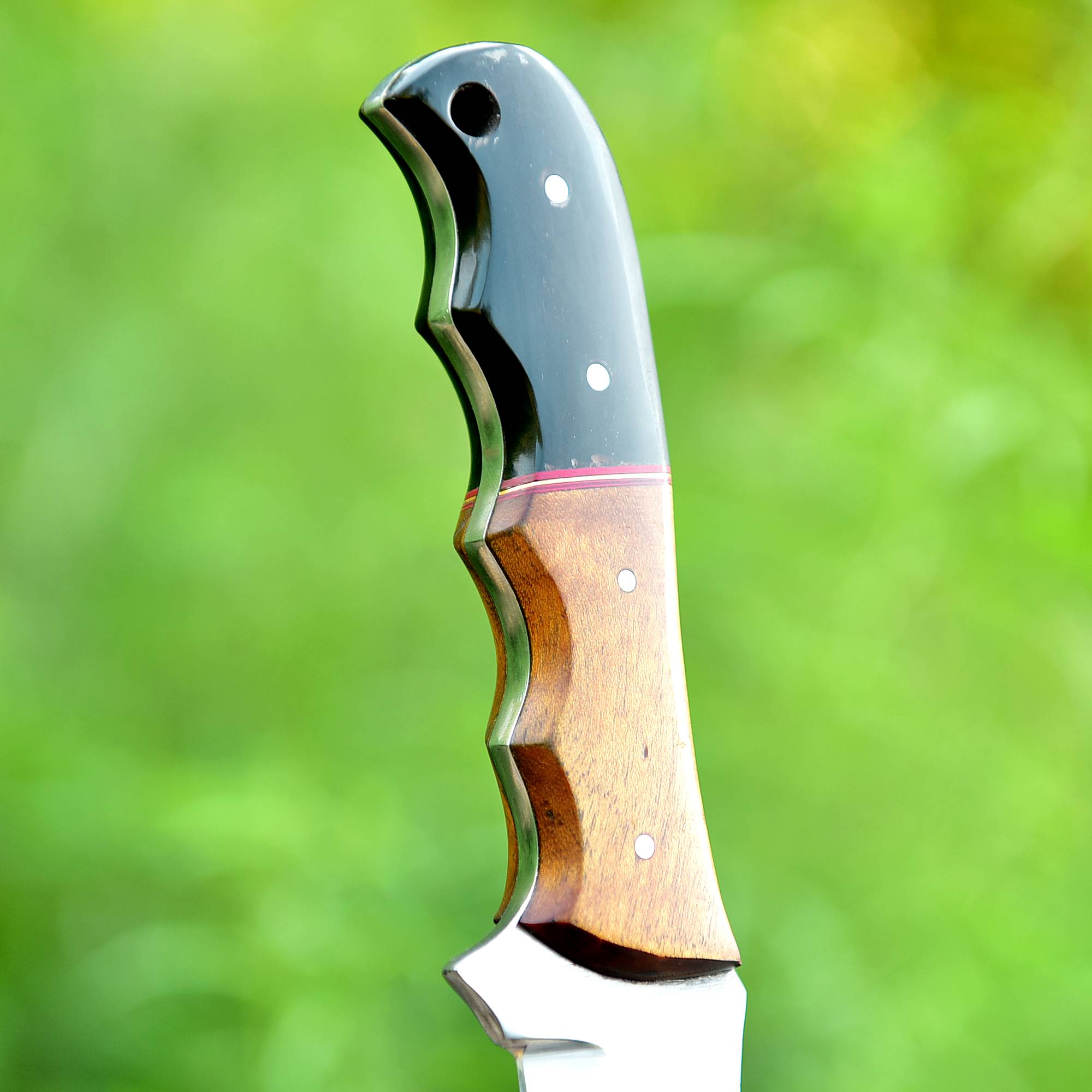 Frontier Fang Hunter Fixed Blade Knife – Broad Steel Blade with Bull Horn & Wood Handle {FREE GIFT}