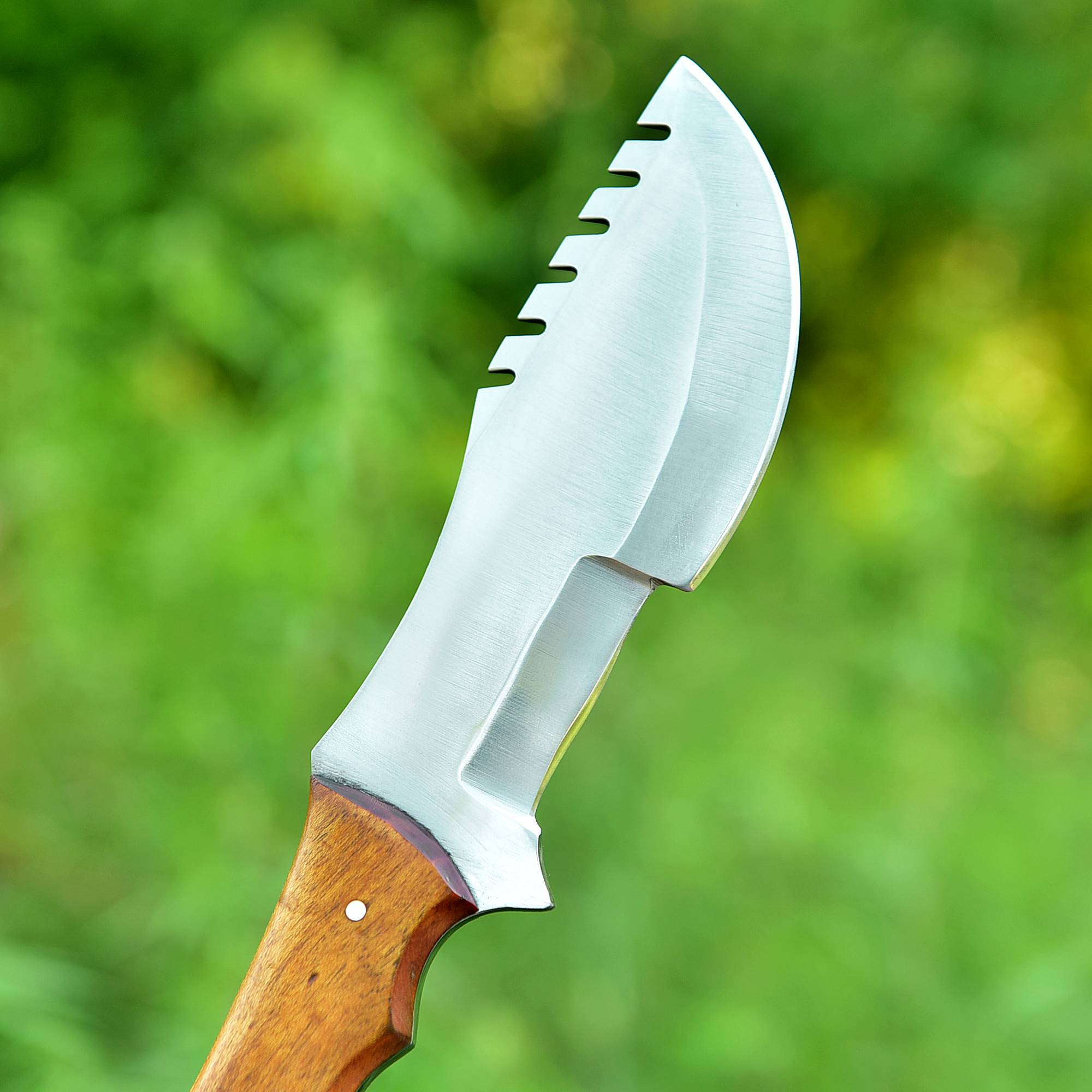 Frontier Fang Hunter Fixed Blade Knife – Broad Steel Blade with Bull Horn & Wood Handle {FREE GIFT}