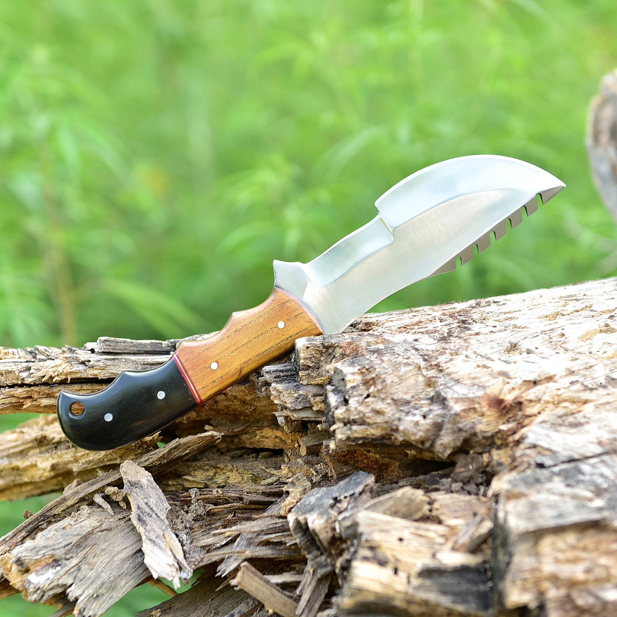 Frontier Fang Hunter Fixed Blade Knife – Broad Steel Blade with Bull Horn & Wood Handle {FREE GIFT}