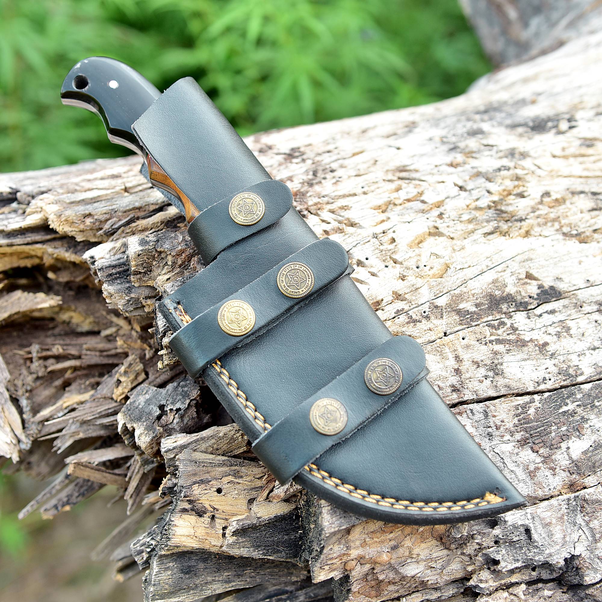 Frontier Fang Hunter Fixed Blade Knife – Broad Steel Blade with Bull Horn & Wood Handle {FREE GIFT}