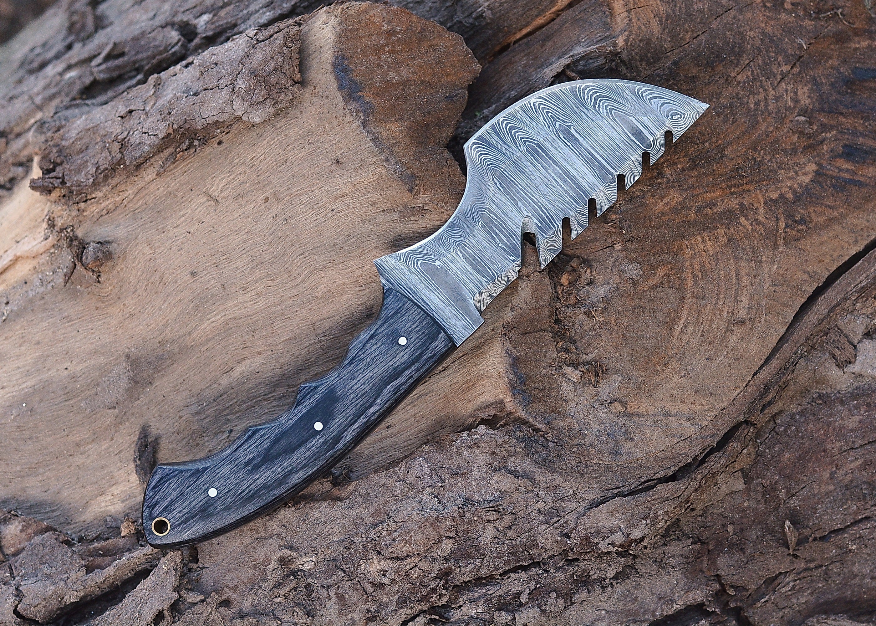 Shadow Fang Damascus Fixed Blade Knife – Patterned Damascus Steel with Serrated Edge & Dark Wood Handle {FREE GIFT}