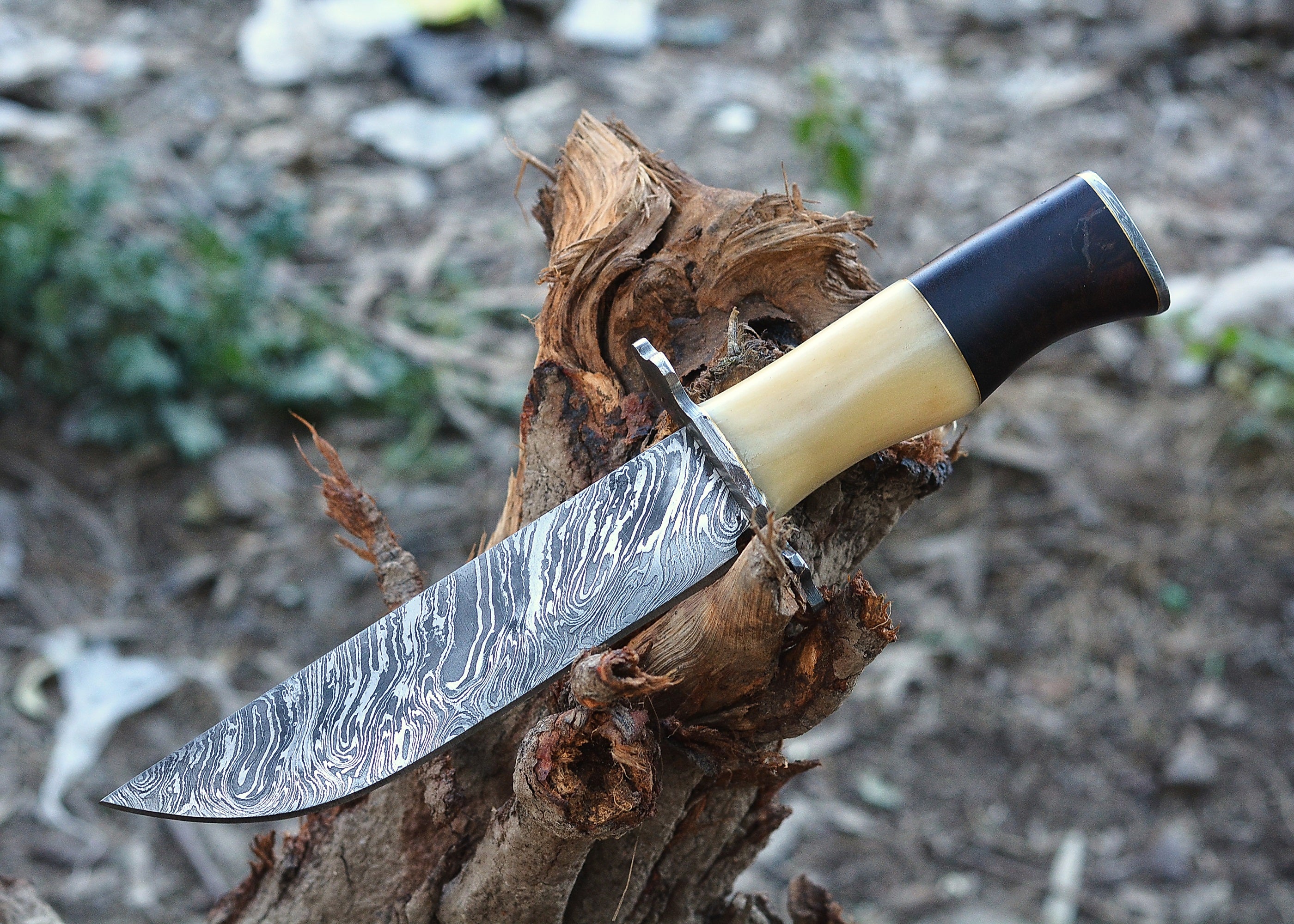 Ivory Crest Damascus Fixed Blade Knife – Flow Pattern Damascus Steel with Ivory Handle & Dark Accent Cap {FREE GIFT}