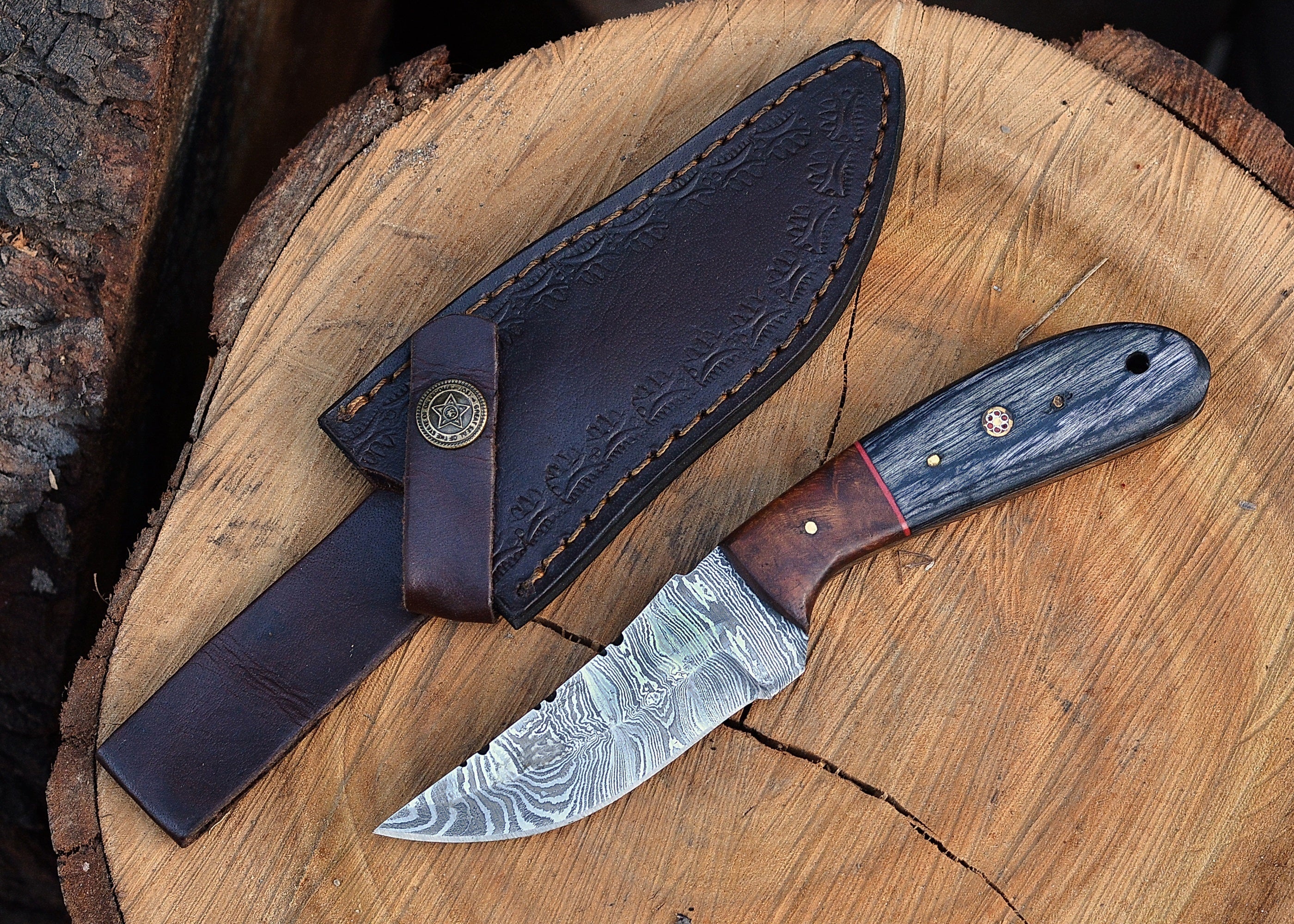 Timberline Damascus Companion – Compact Fixed Blade Knife with Patterned Steel & Hardwood Handle {FREE GIFT}
