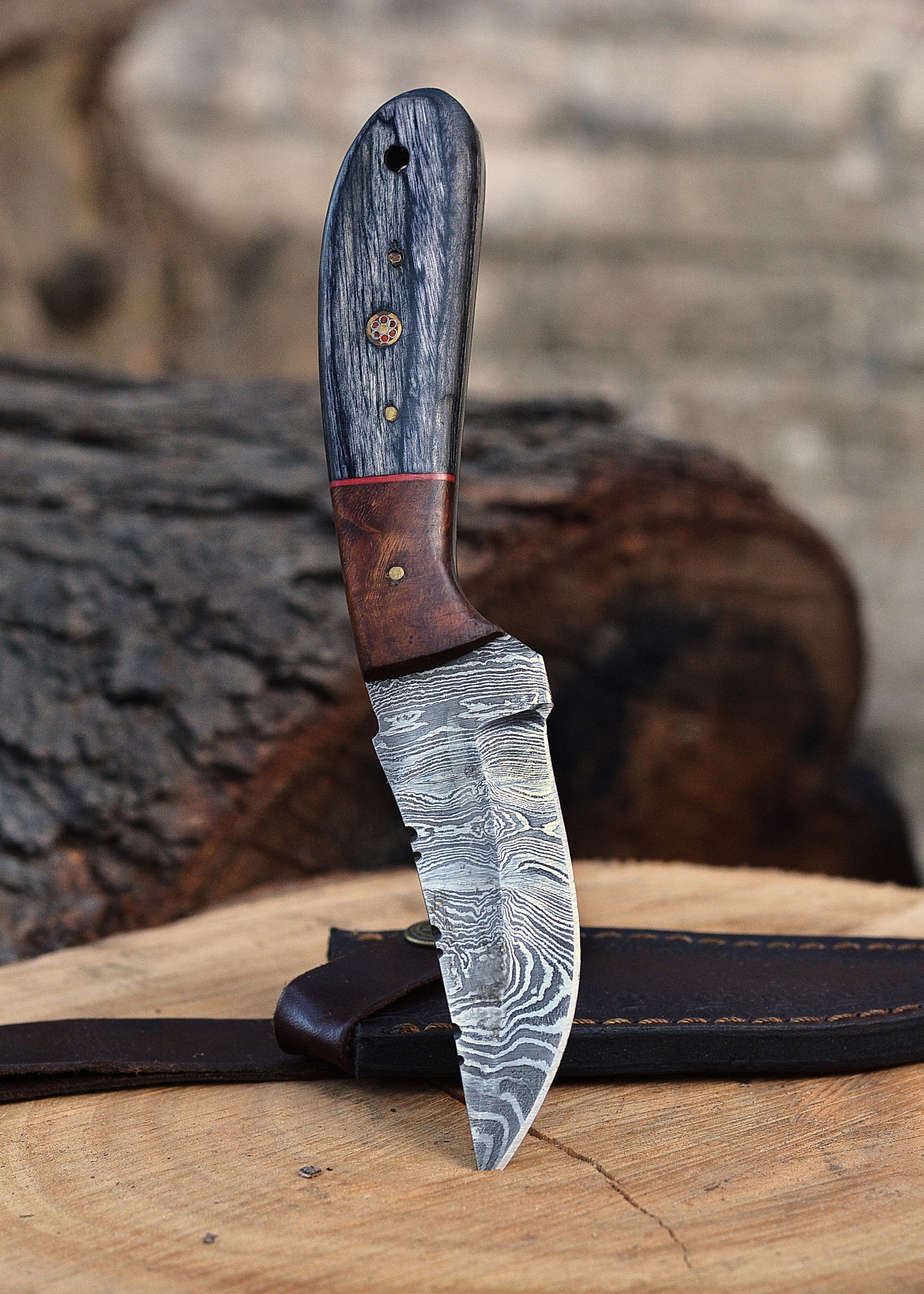 Timberline Damascus Companion – Compact Fixed Blade Knife with Patterned Steel & Hardwood Handle {FREE GIFT}