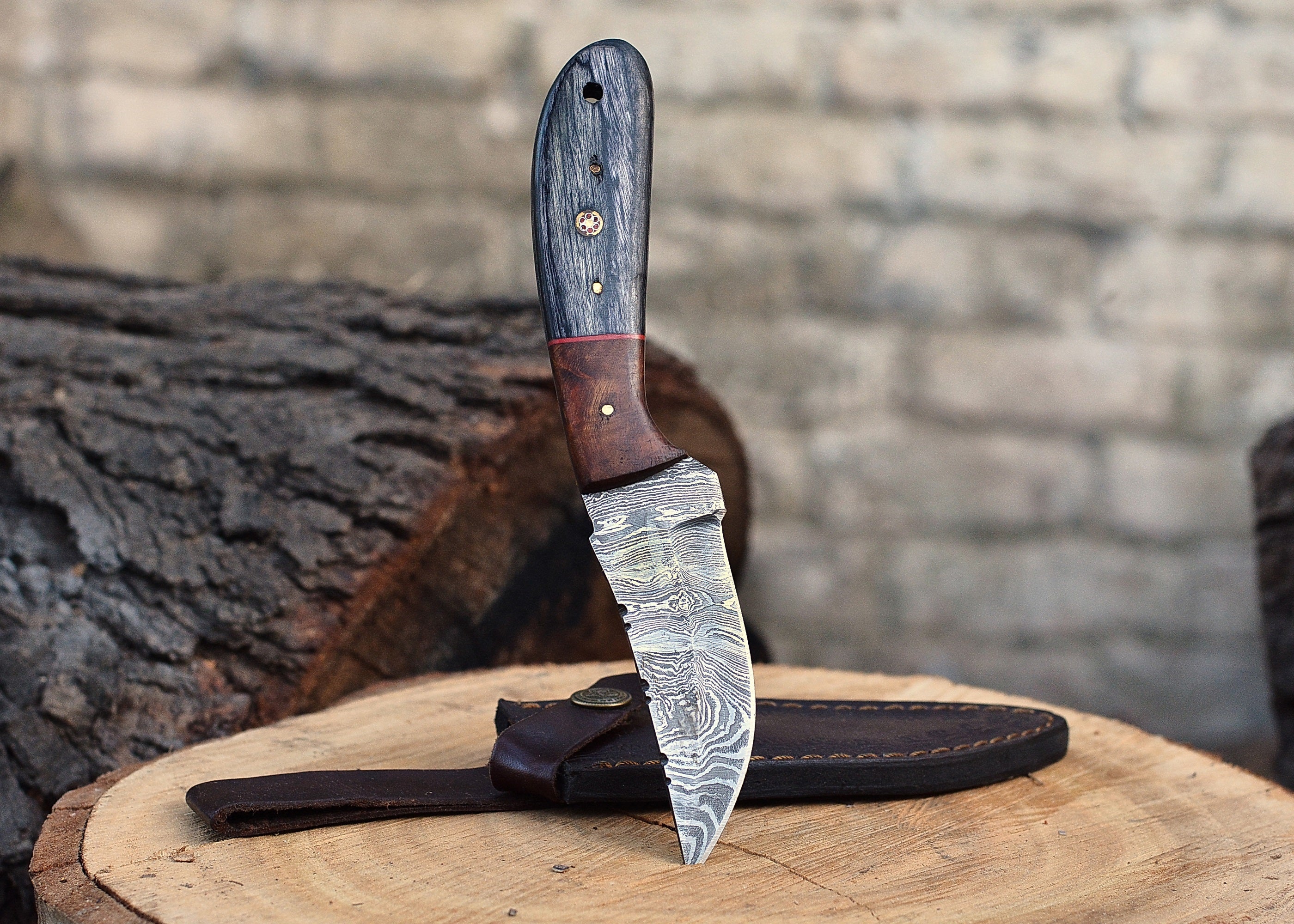 Timberline Damascus Companion – Compact Fixed Blade Knife with Patterned Steel & Hardwood Handle {FREE GIFT}