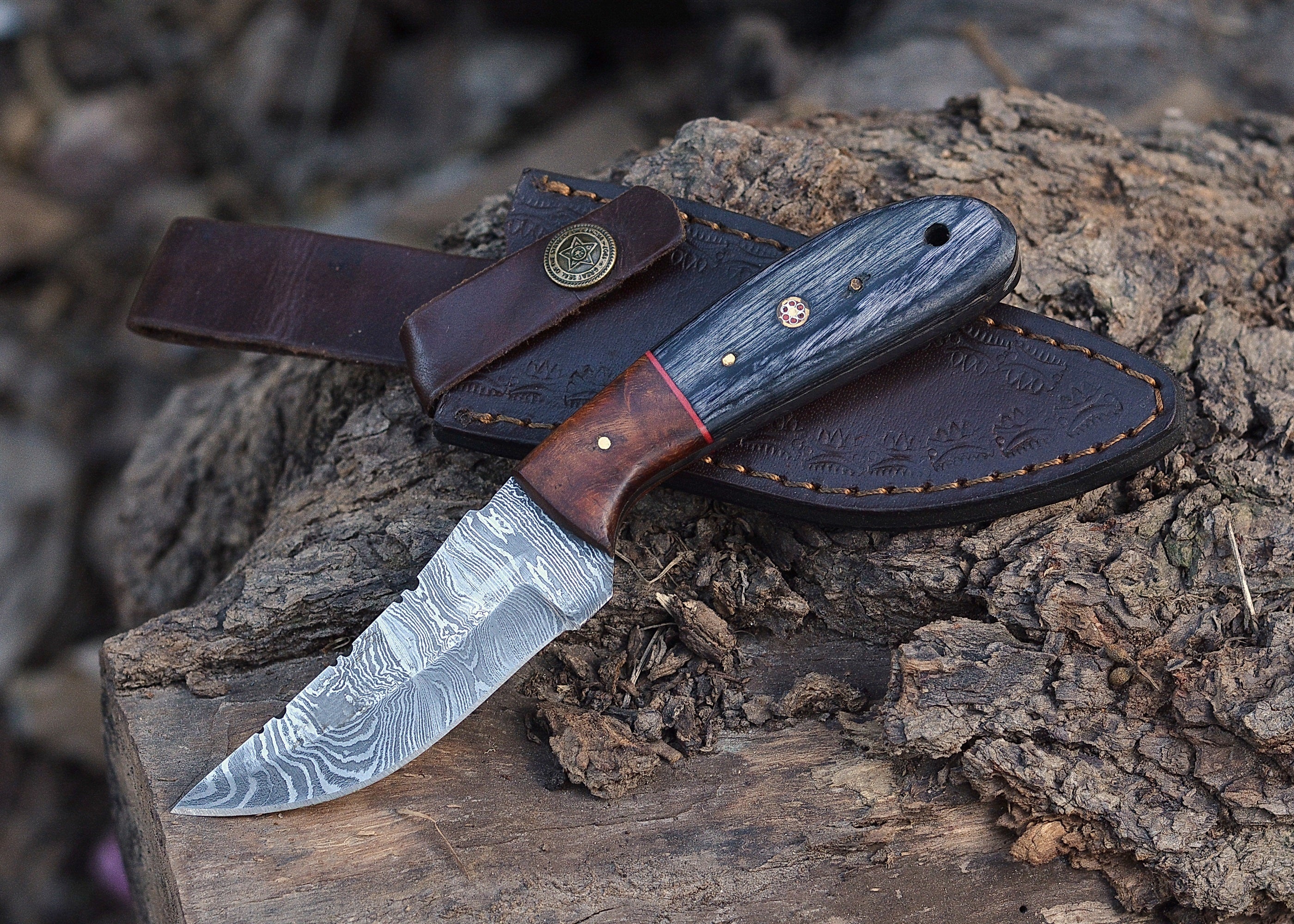 Timberline Damascus Companion – Compact Fixed Blade Knife with Patterned Steel & Hardwood Handle {FREE GIFT}