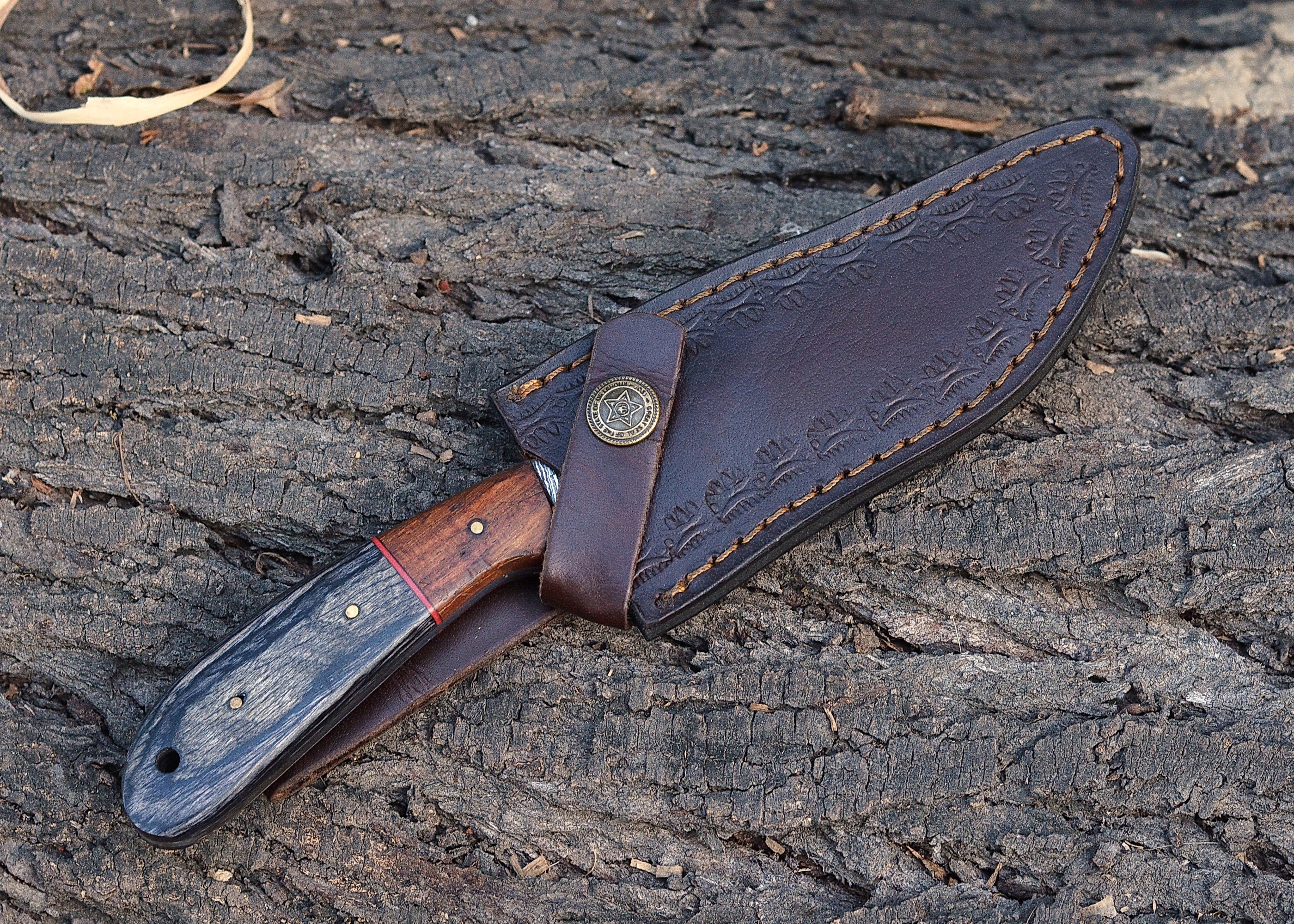 Timberline Damascus Companion – Compact Fixed Blade Knife with Patterned Steel & Hardwood Handle {FREE GIFT}