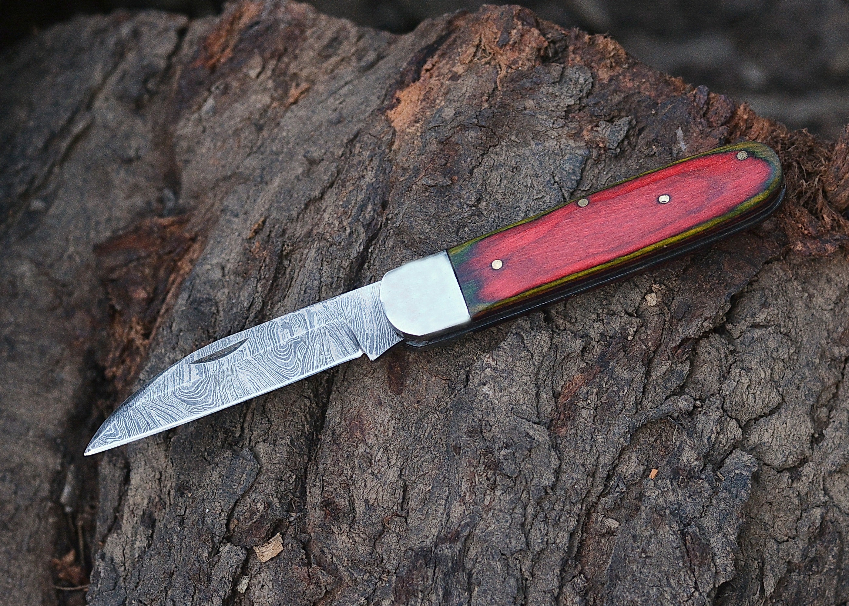 Crimson Grain Folder – Damascus Steel Folding Knife with Red Wood Handle {FREE GIFT}