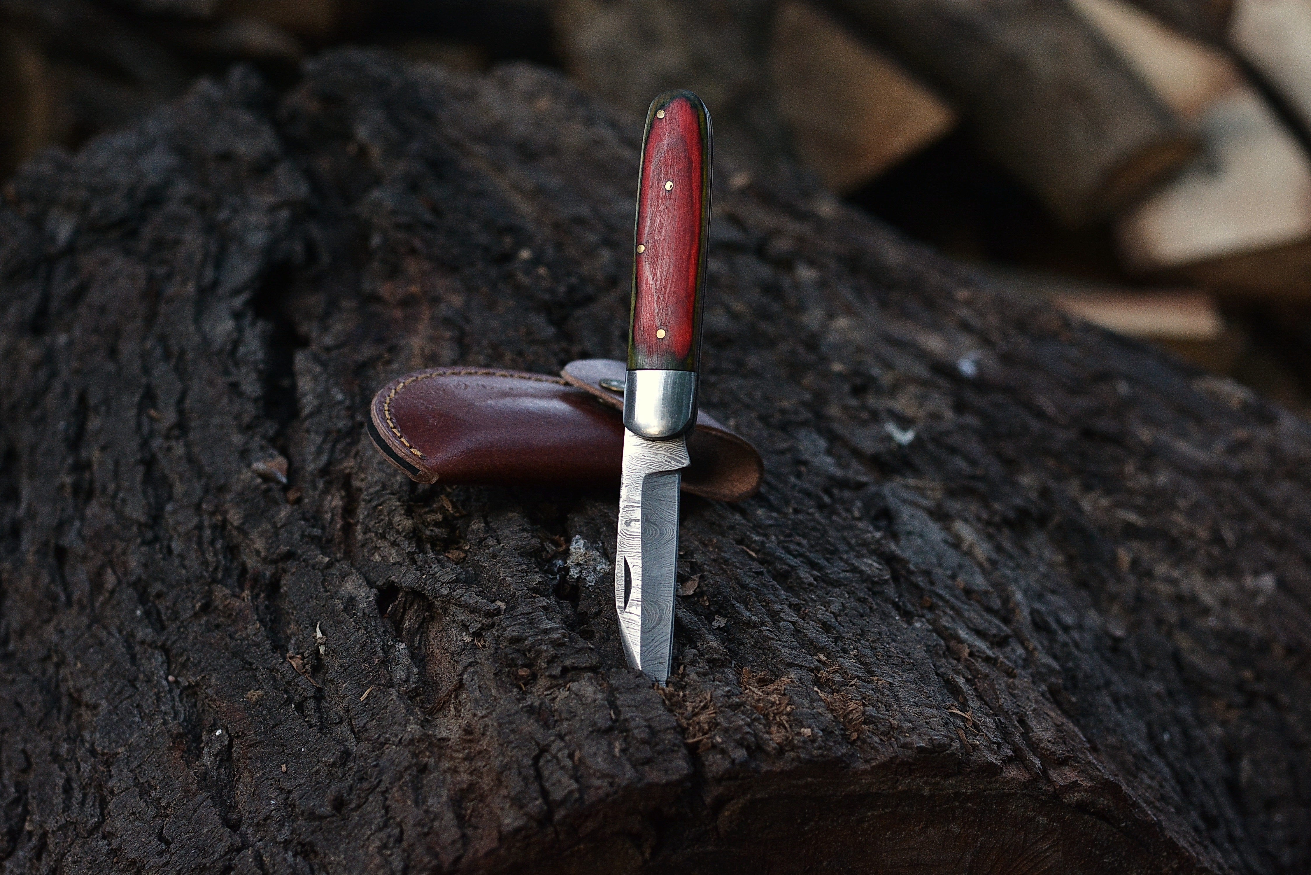 Crimson Grain Folder – Damascus Steel Folding Knife with Red Wood Handle {FREE GIFT}