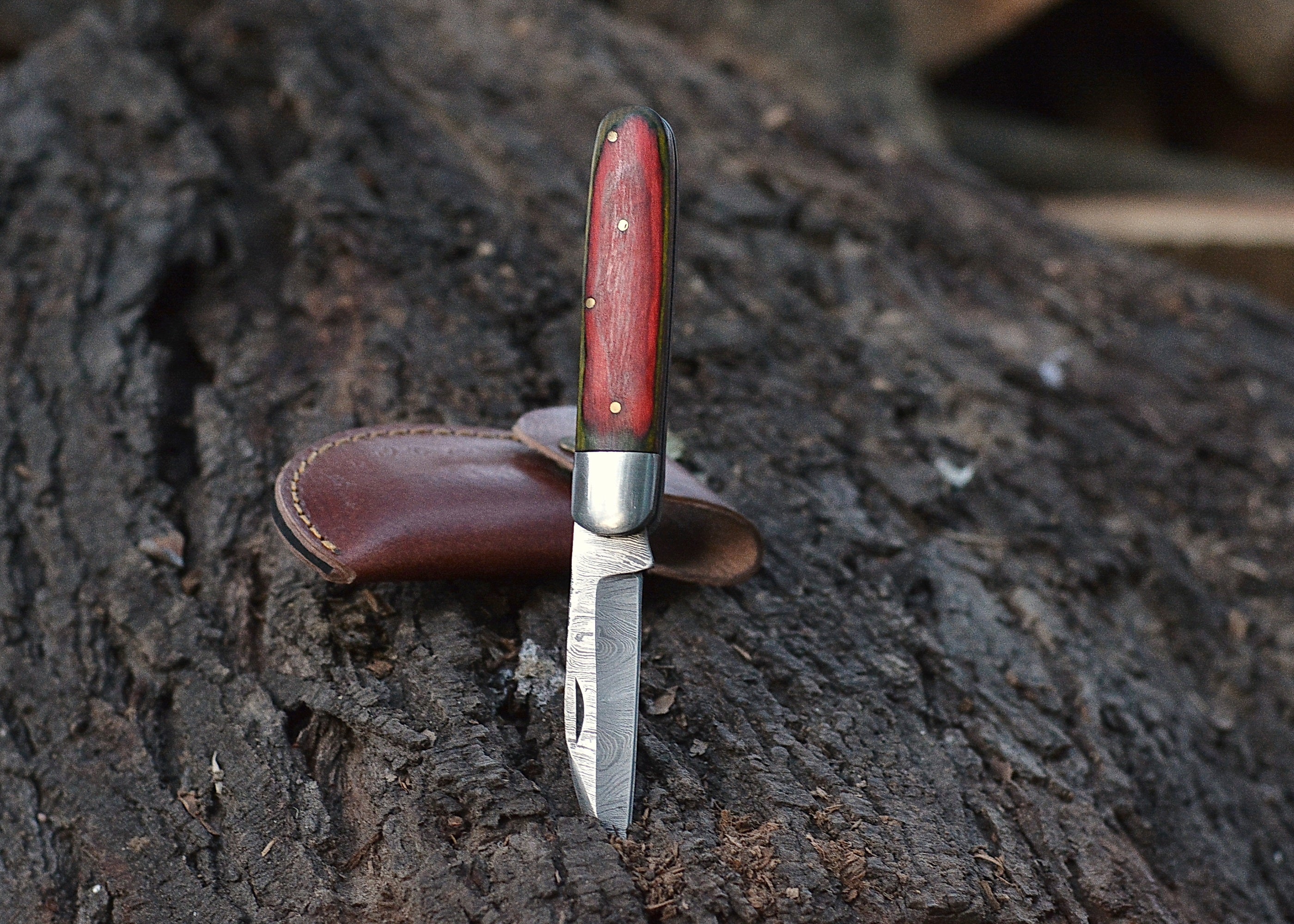Crimson Grain Folder – Damascus Steel Folding Knife with Red Wood Handle {FREE GIFT}
