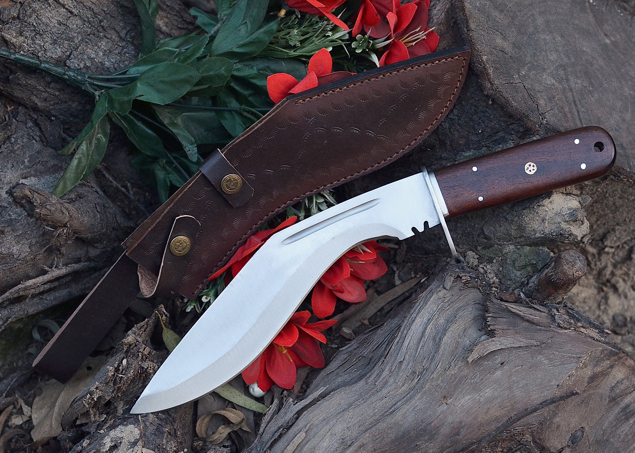 Frontier Curve Hunter – Satin Clip-Point Fixed Blade Knife with Hardwood Handle {FREE GIFT}