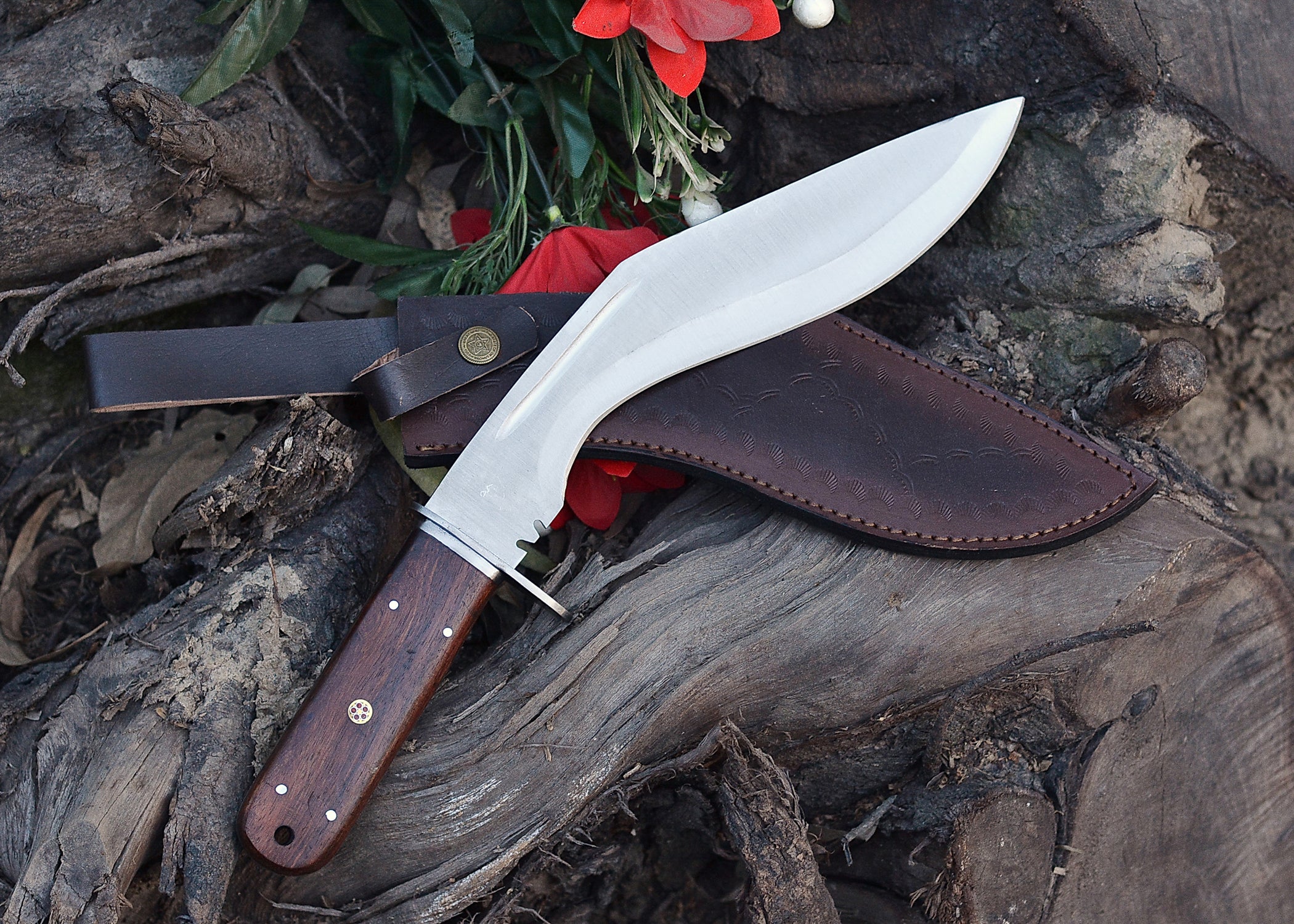 Frontier Curve Hunter – Satin Clip-Point Fixed Blade Knife with Hardwood Handle {FREE GIFT}