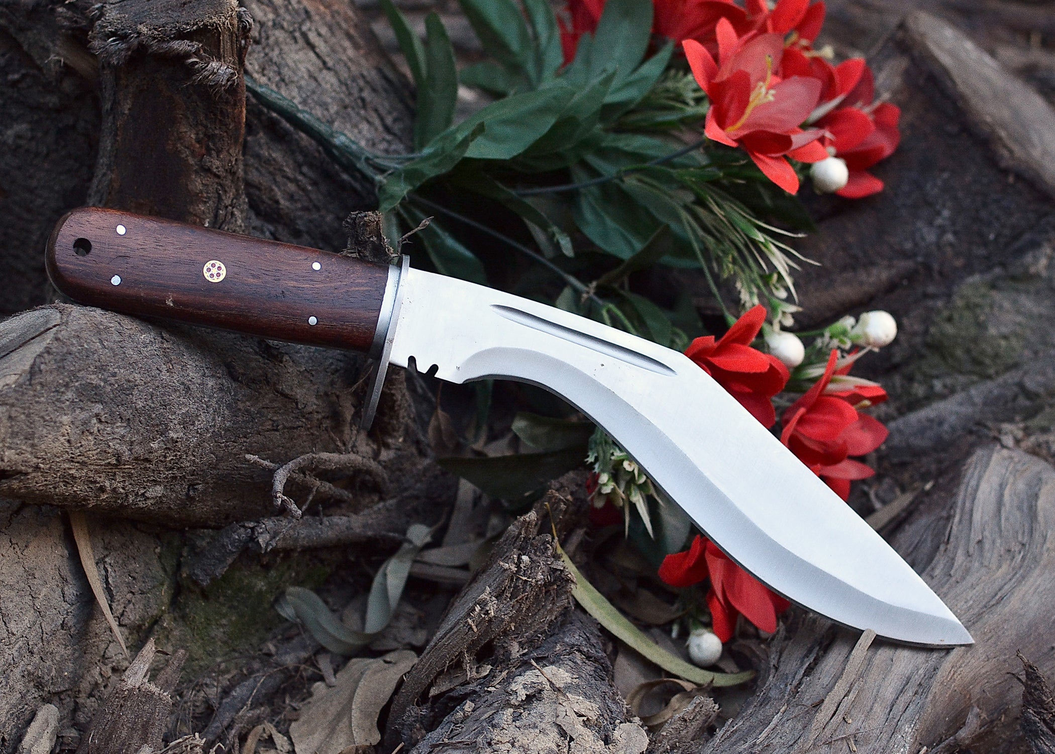 Frontier Curve Hunter – Satin Clip-Point Fixed Blade Knife with Hardwood Handle {FREE GIFT}