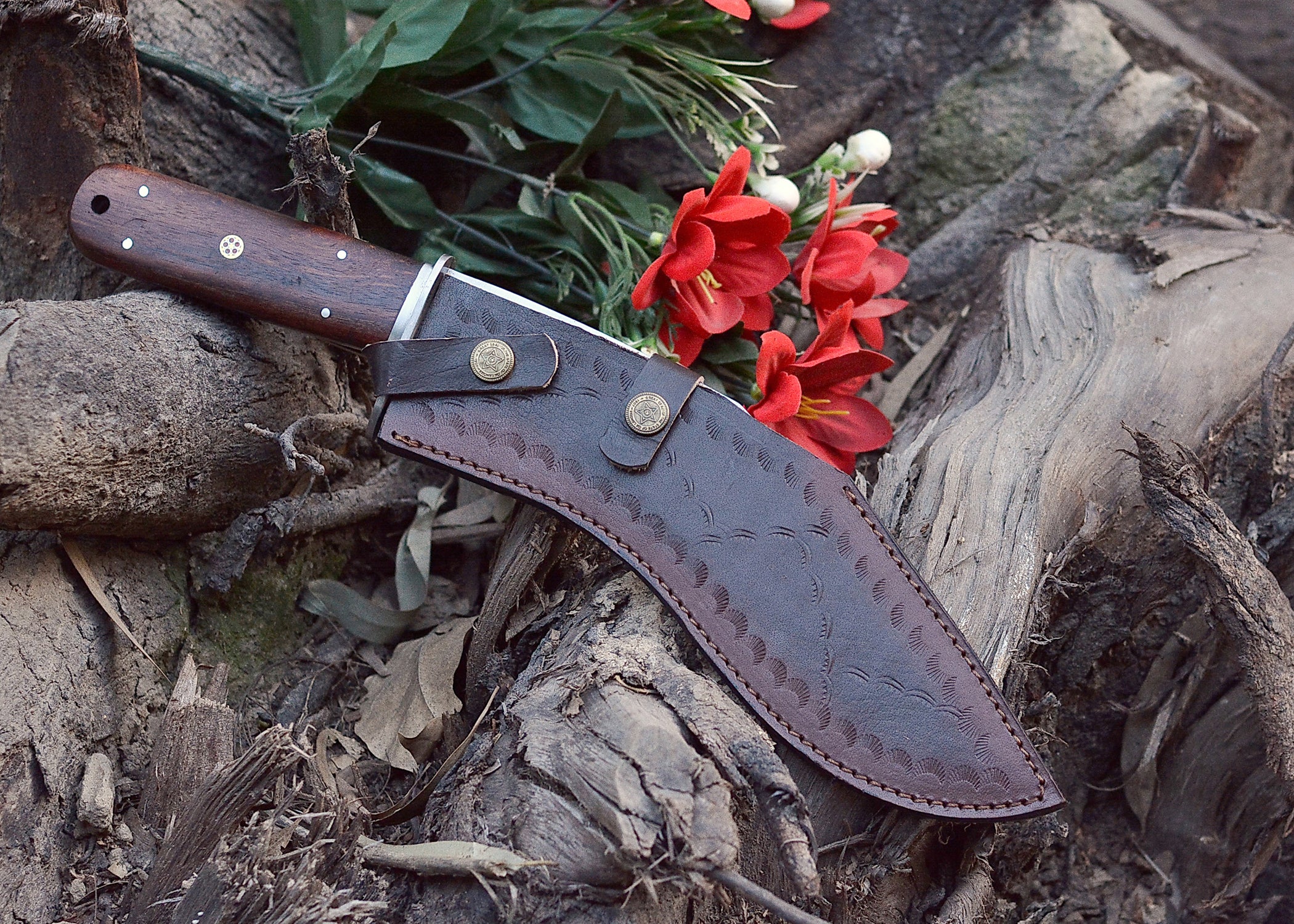 Frontier Curve Hunter – Satin Clip-Point Fixed Blade Knife with Hardwood Handle {FREE GIFT}