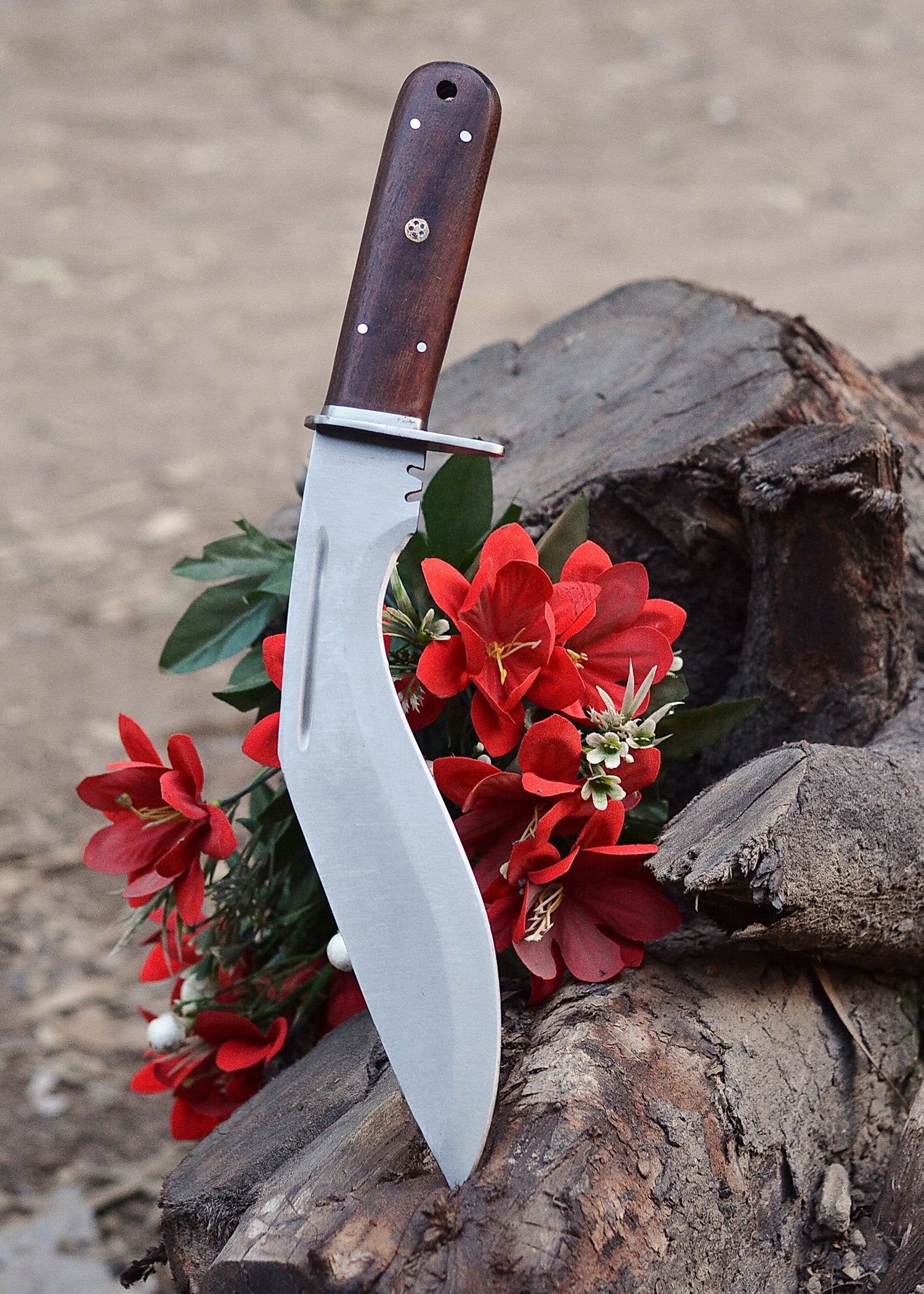 Frontier Curve Hunter – Satin Clip-Point Fixed Blade Knife with Hardwood Handle {FREE GIFT}