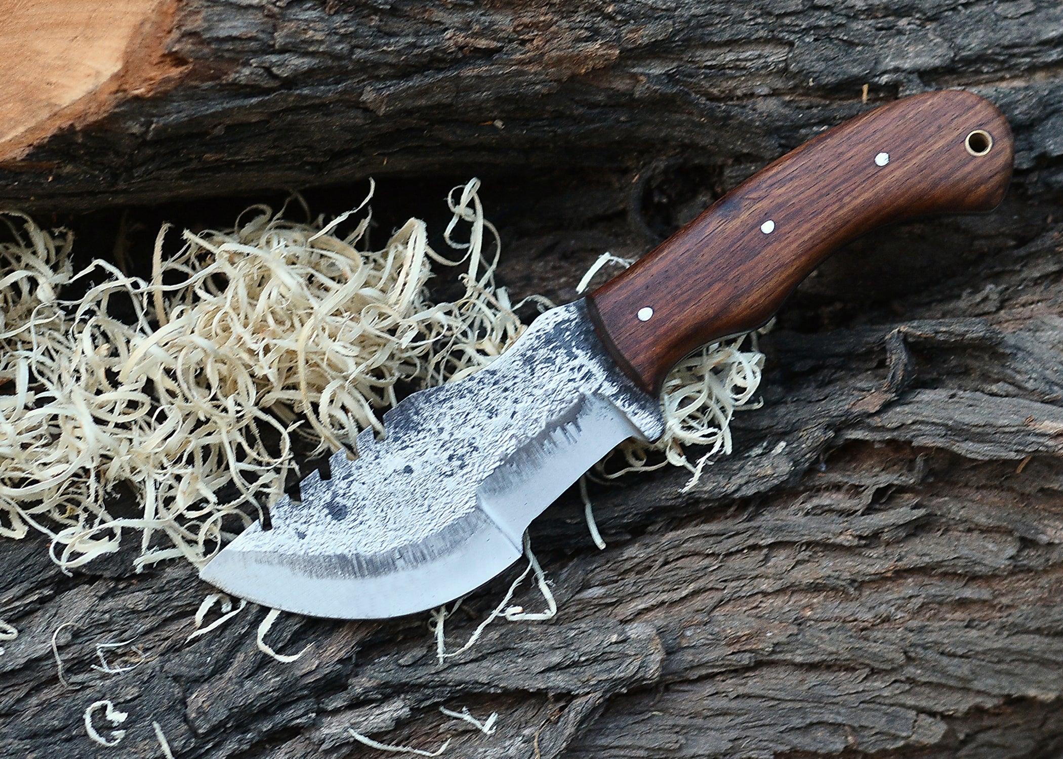 Timber Fang Tracker – Forged Finish Fixed Blade with Walnut Wood Handle & Leather Sheath {FREE GIFT}